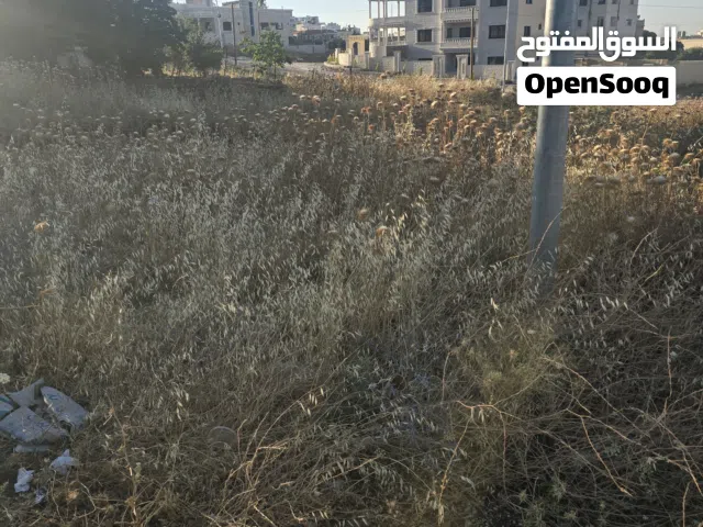 Residential Land for Sale in Irbid Al Husn