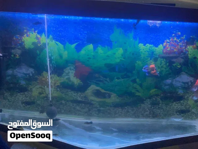 حوض سمك متر لف 3D