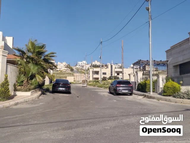 شفابدران عيون الذيب أجمل الأحواض