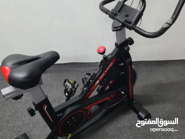 Skyland exercise bike