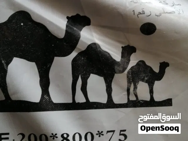 اشرعه وخيام شروق الجزيره