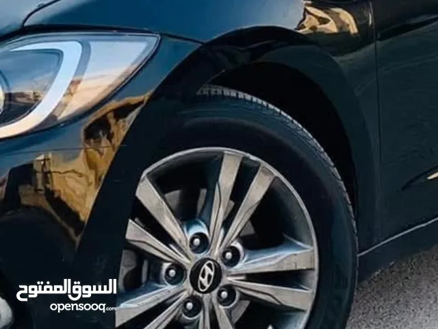 تخم ويل كب حجم 16