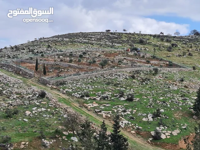 Farm Land for Sale in Jerash Unaybah