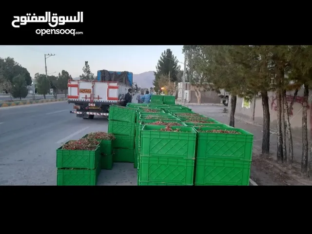 البرباريس الأصلي