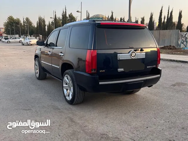 Cadillac Escalade Standard in Amman