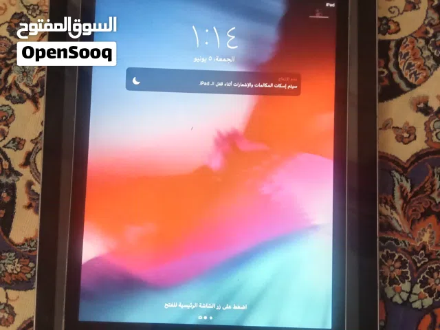Apple iPad Mini 2 16 GB in Muscat