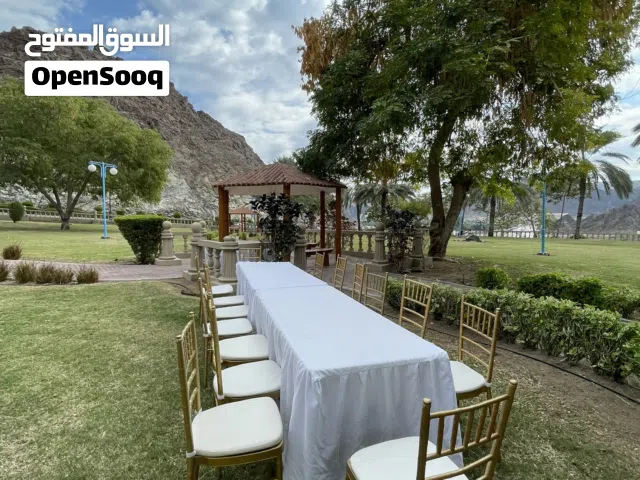 Table and chair rent