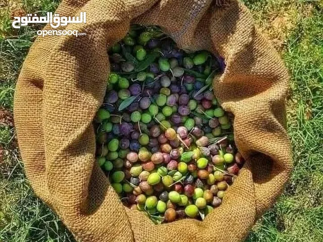 زيت زيتون مسلاته درجه اولى متوفر 25 لتر