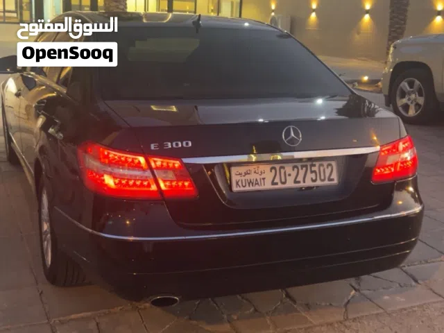 2010 Mercedes Benz E-Class E 250