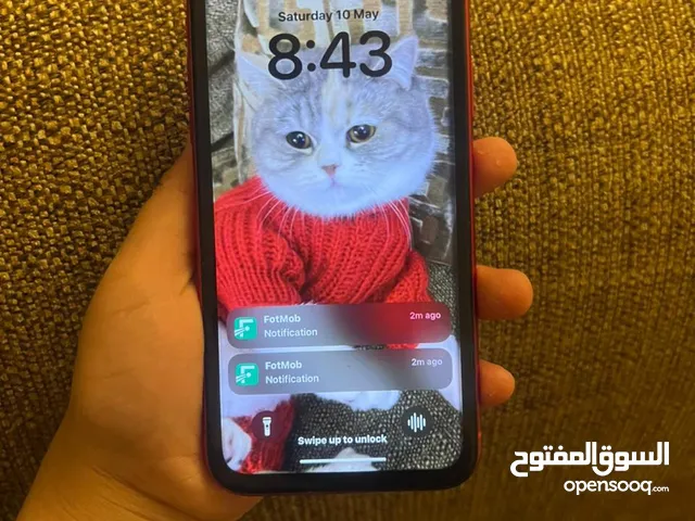 Apple iPhone 11 64 GB in Amman