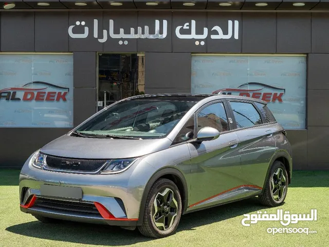 BYD DOLPHAIN 2022