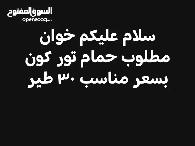 سلام عليكم خوان مطلوب حمام تور كون بسعر مناسب 30 طير