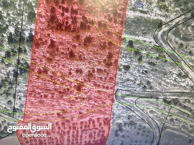 Mixed Use Land for Sale in Hebron Dura