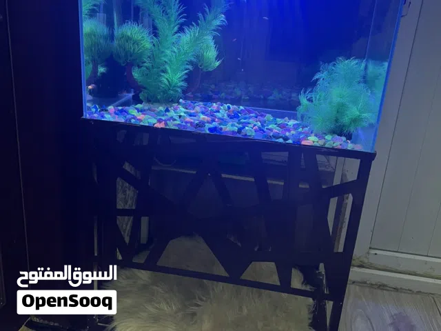 حوض سمك للبيع كامل