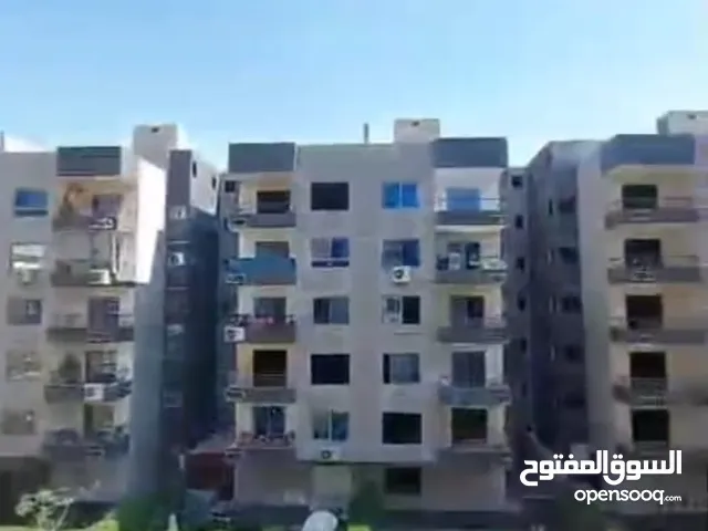 شقه للبيع تحفه