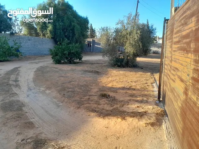 Residential Land for Sale in Tripoli Alswani