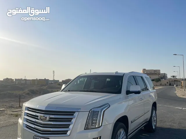 Cadillac Escalade 2015 platinum