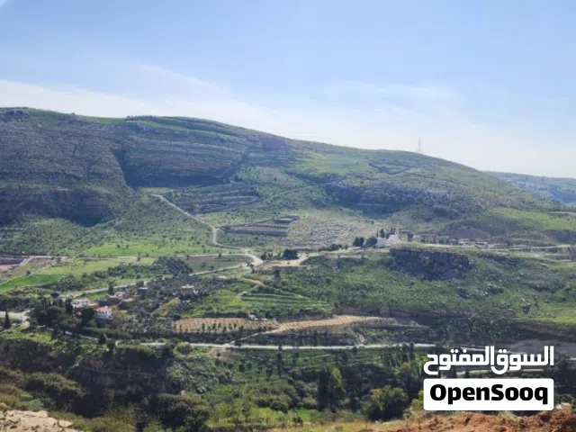قطعة ارض للبيع بسعر مغري