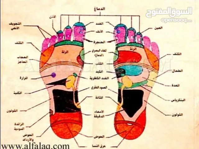 طايل الهواوشه