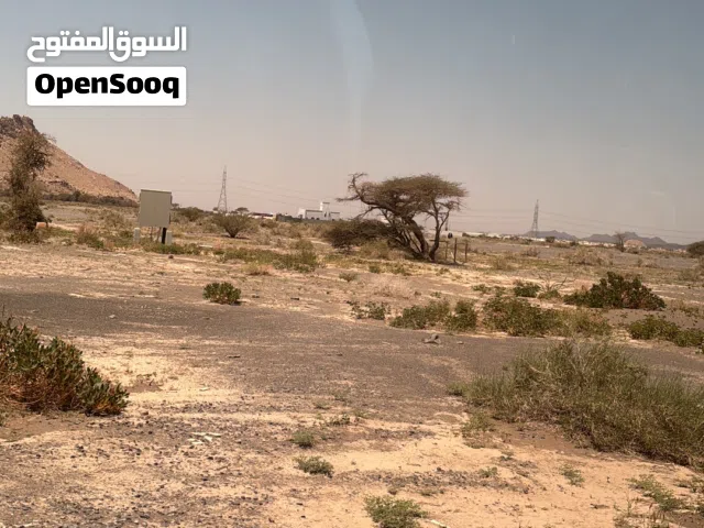 ارض للبيع السد