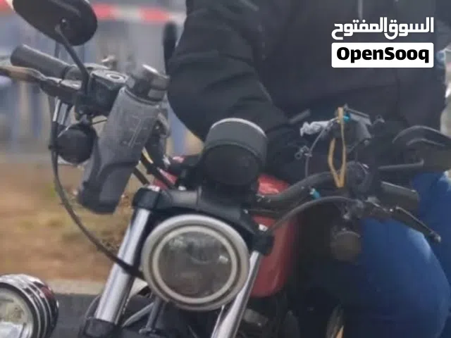 2013 هارلي ديفيدسون Iron 883