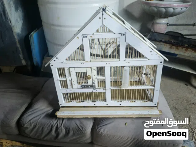 قفص عصافير شغل يدوي بالكامل