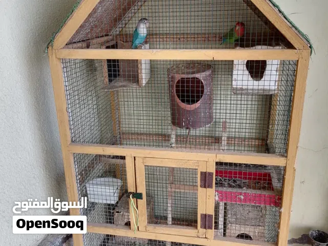 للبيع قفص فاضي بدون طيور