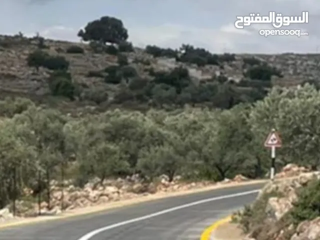 ارض للبيع تيجاري  على الشارع اريسي مباشره مساحه  دونم 300 متر تيجاري