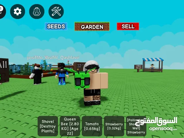 Roblox Accounts and Characters for Sale in Zarqa