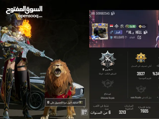 Pubg Accounts and Characters for Sale in Sharjah