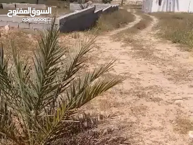 ارض للبيع ع البحر غنيمه