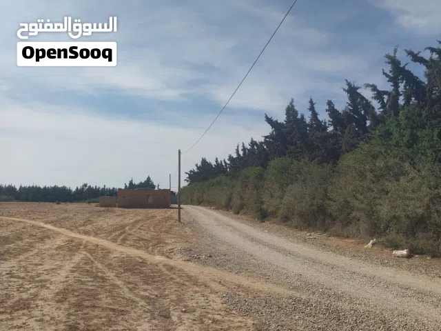 Farm Land for Sale in Agadir Other