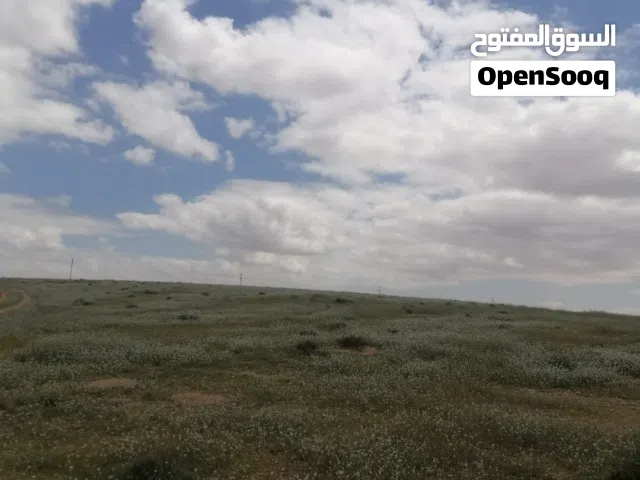 Mixed Use Land for Sale in Mafraq Mansoura
