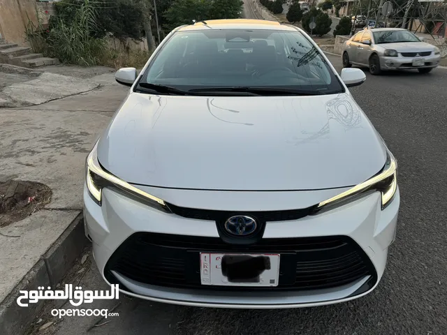 New Toyota Corolla in Sulaymaniyah