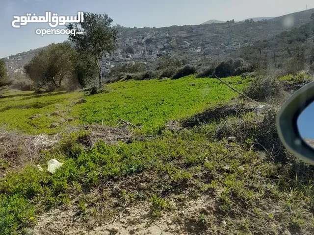 Mixed Use Land for Sale in Qalqilya Immatin