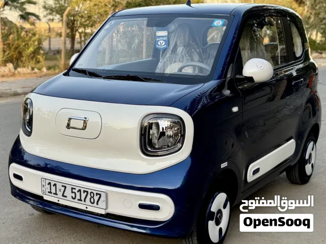 2025 بستيون بوني EV