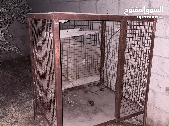 خم دجاج حجم كبير حديد ثقيل