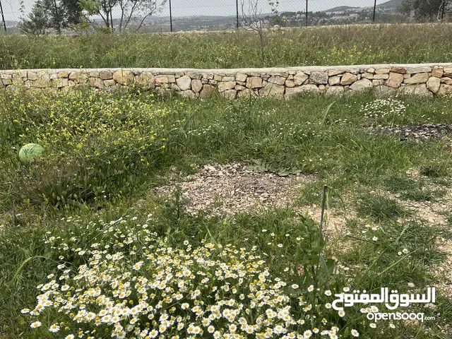 Residential Land for Sale in Ramallah and Al-Bireh Ein Arik