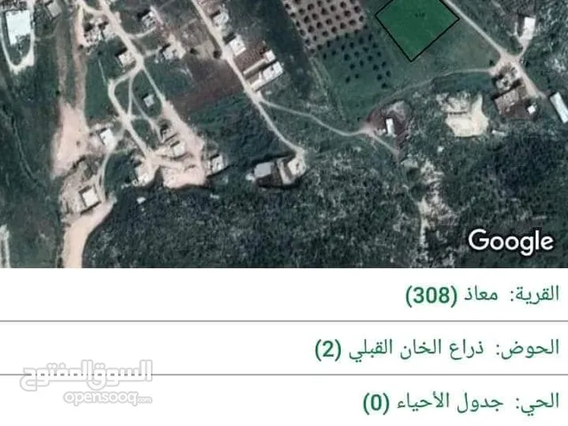 Residential Land for Sale in Irbid North Shuna