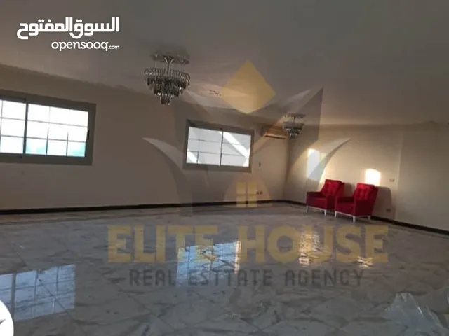 500 m2 4 Bedrooms Apartments for Rent in Alexandria Roshdi