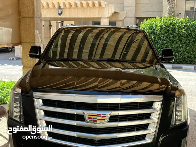 Used Cadillac Escalade in Al Khobar