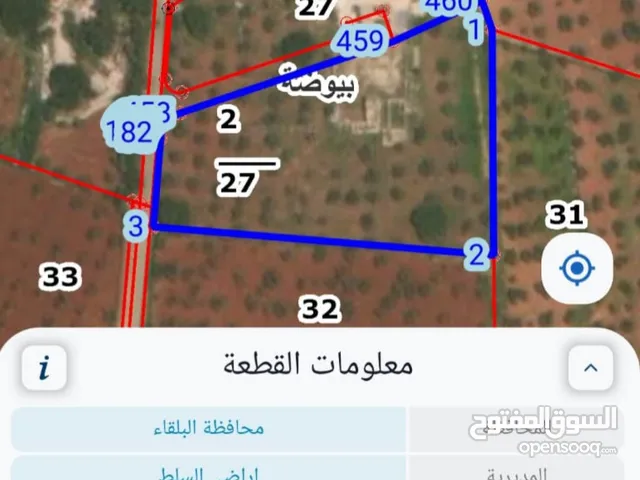 ارض للبيع 8 دونمات للبيع في  السلط منطقه بيوضه