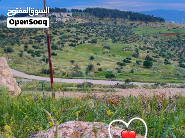 Mixed Use Land for Sale in Jerash Unaybah