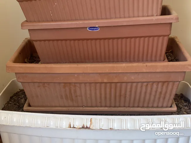Big size pots with soil
