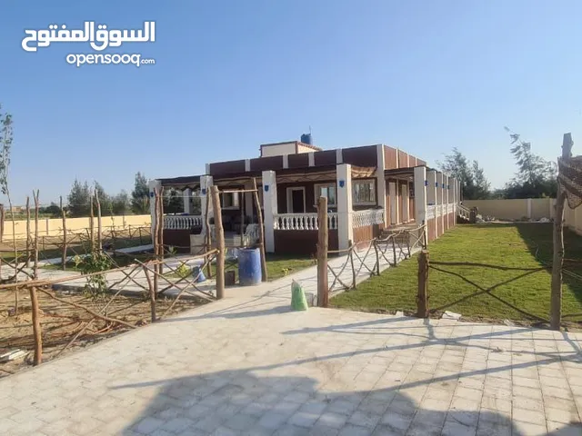 Farm Land for Sale in Tanta El Mahatta