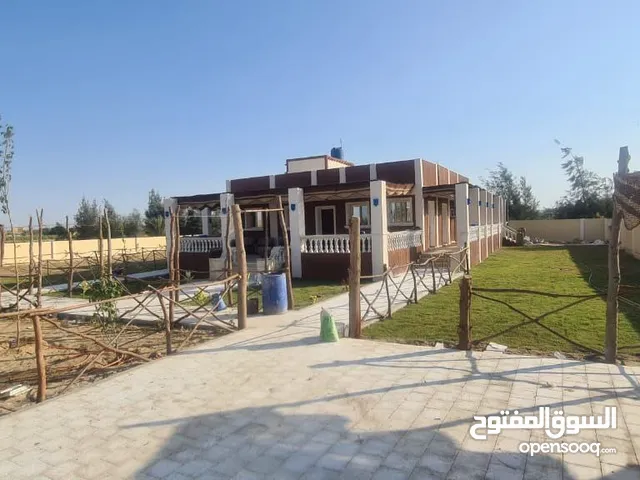Farm Land for Sale in Alexandria Sidi Gaber
