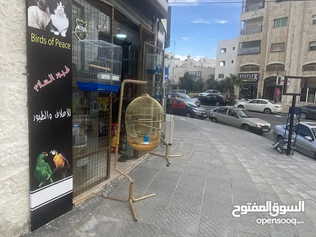 3m2 Shops for Sale in Amman Al Muqabalain