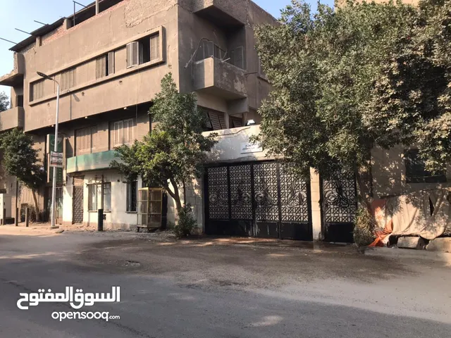1000 m2 More than 6 bedrooms Townhouse for Rent in Cairo Khalifa