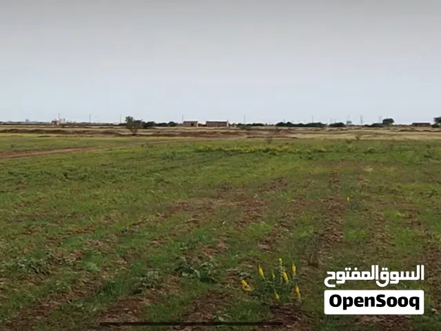 Farm Land for Sale in Khartoum Sharq Al-Nile