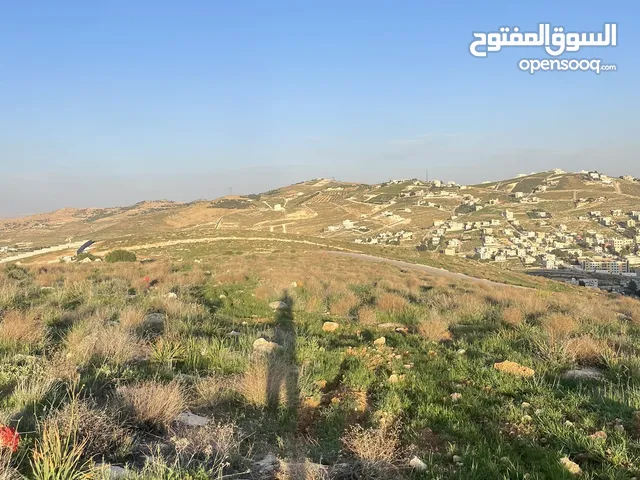 قطعة ارض مميزه جدا وموقع مميز فرصه لبناء منزل الاحلام وسعر جداً مميز شفا بدران ام رمانه اطلاله رائعه